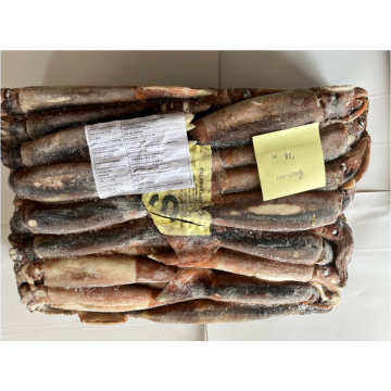 Frozen Illex Argentinus Seluruh Squid Putaran 100-200g